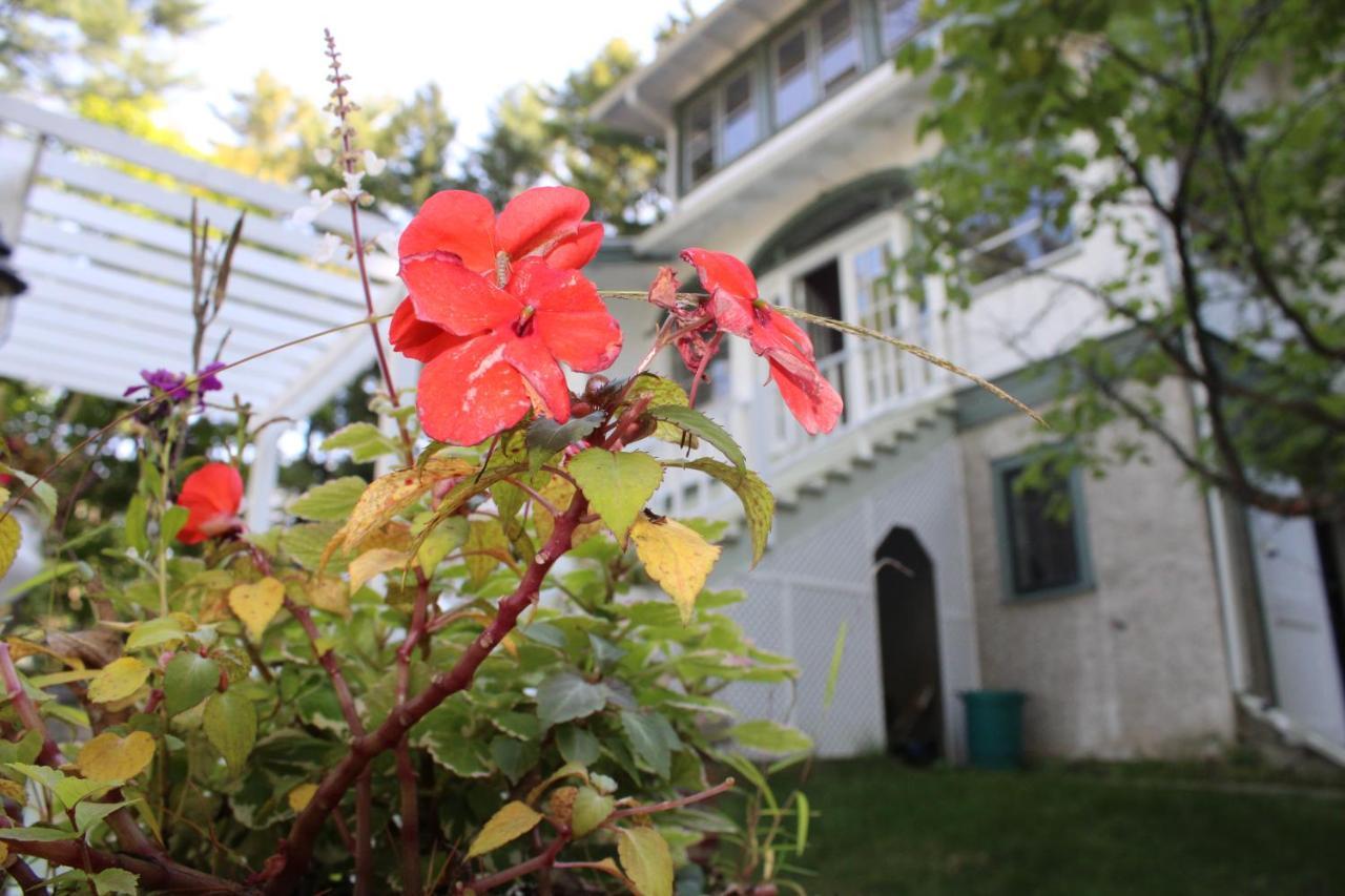 The Hillside B&B. Home W/ Breakfast Service! Wisconsin Dells Eksteriør bilde